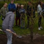 Lees meer over het artikel Hannie Schaftboom geplant in Haarlem