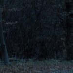 Lees meer over het artikel Studenten Filmacademie raakten geïnspireerd door Hannie
