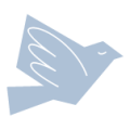 koelblauwvredesduif koelblauwvredesduif